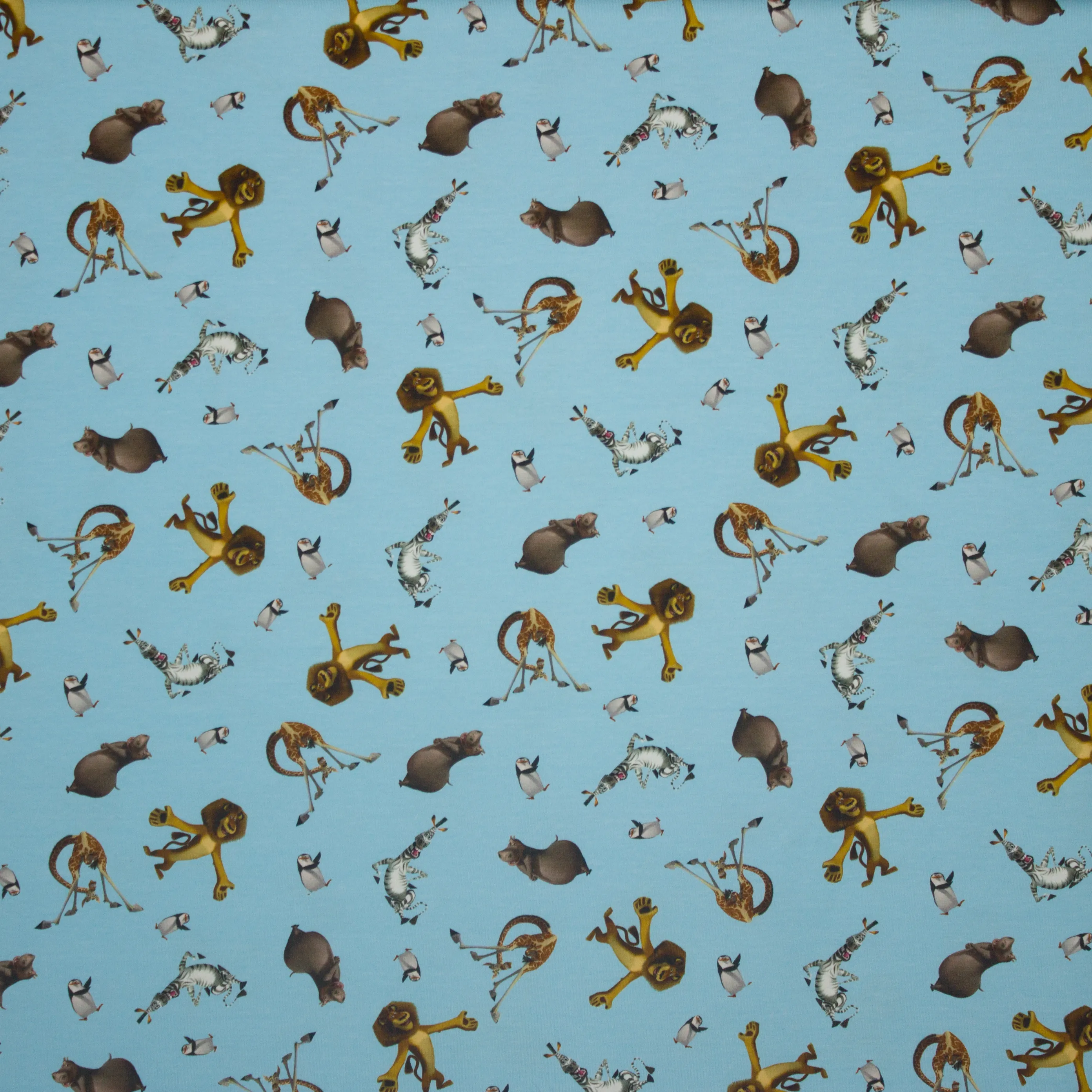tricot met Madagascarmotief